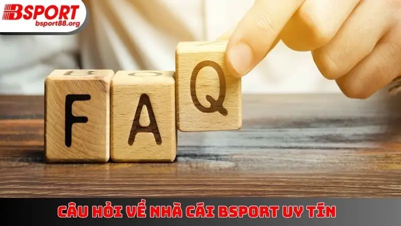Câu hỏi về nhà cái Bsport uy tín