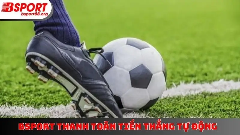 BSPORT thanh toán tiền thắng tự động