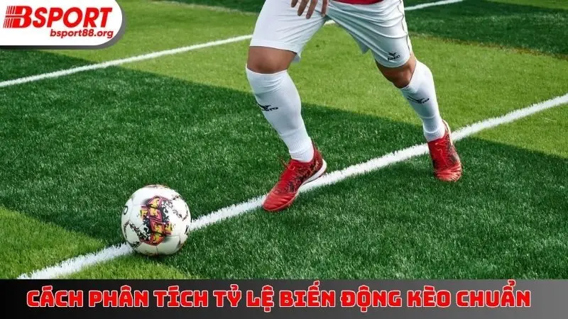 Cách Phân Tích Tỷ Lệ Biến Động Kèo