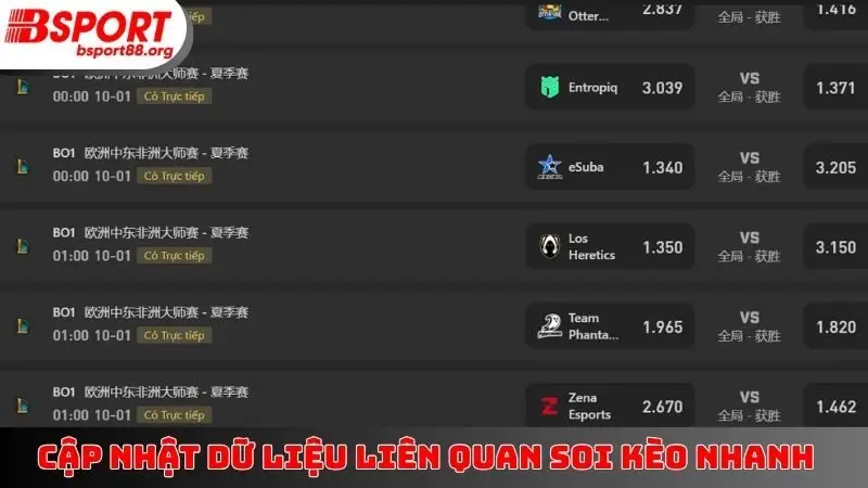 Cập nhật dữ liệu liên quan soi kèo nhanh