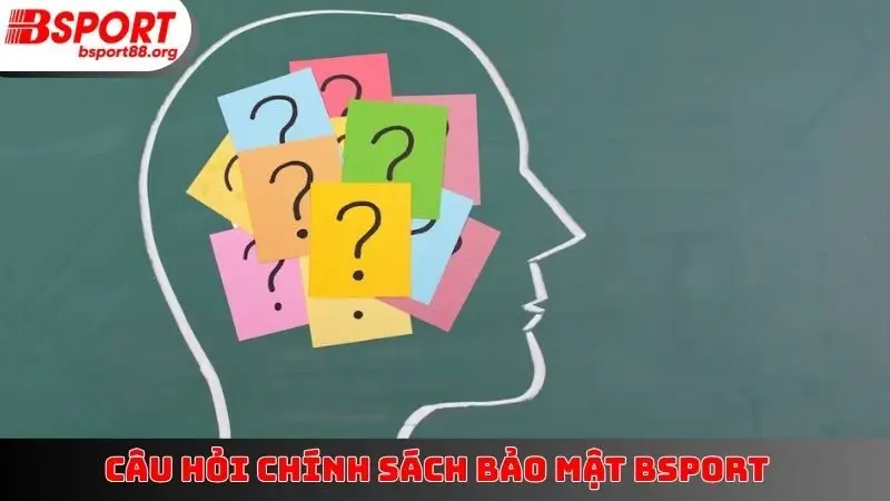 Câu hỏi chính sách bảo mật BSPORT