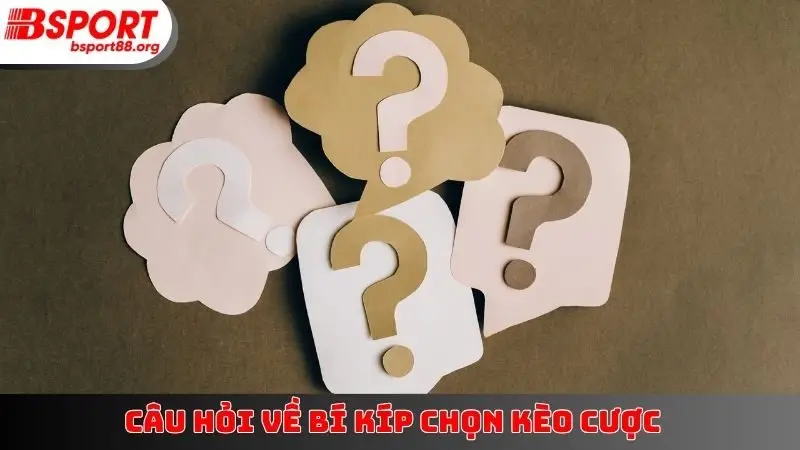Câu hỏi về bí kíp chọn kèo cược