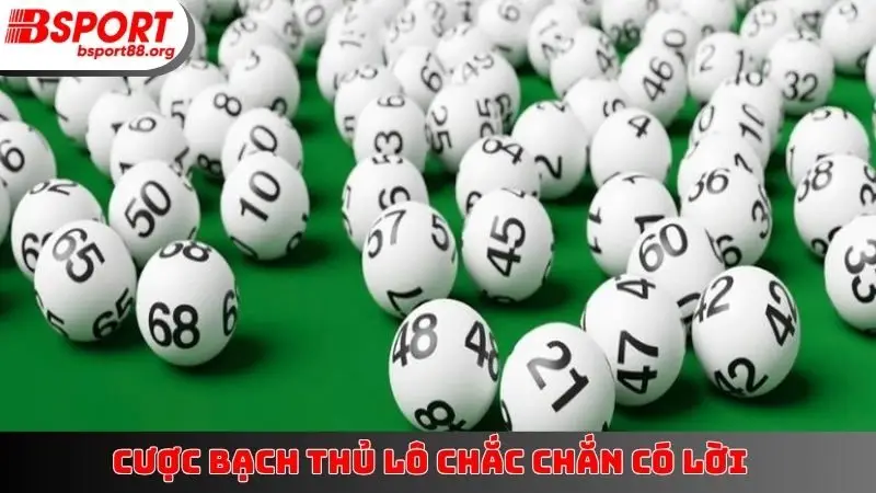 Cược bạch thủ lô chắc chắn có lời