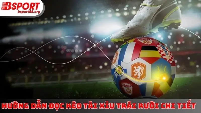 Hướng Dẫn Đọc Kèo Tài Xỉu Trái Rưỡi