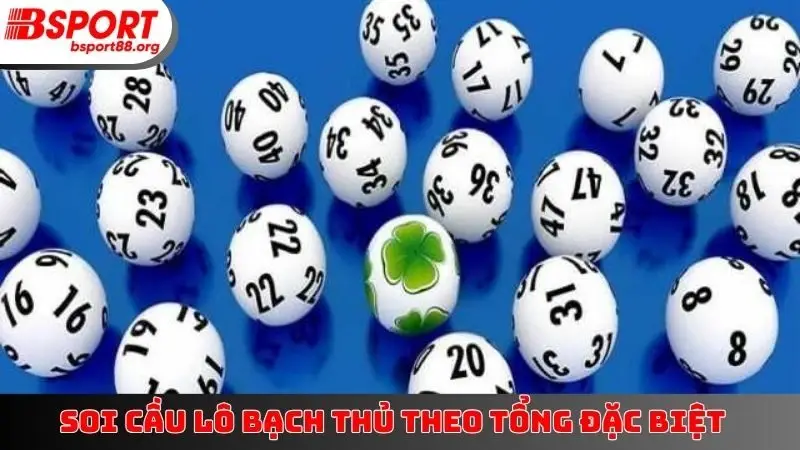 Soi cầu lô bạch thủ theo tổng đặc biệt