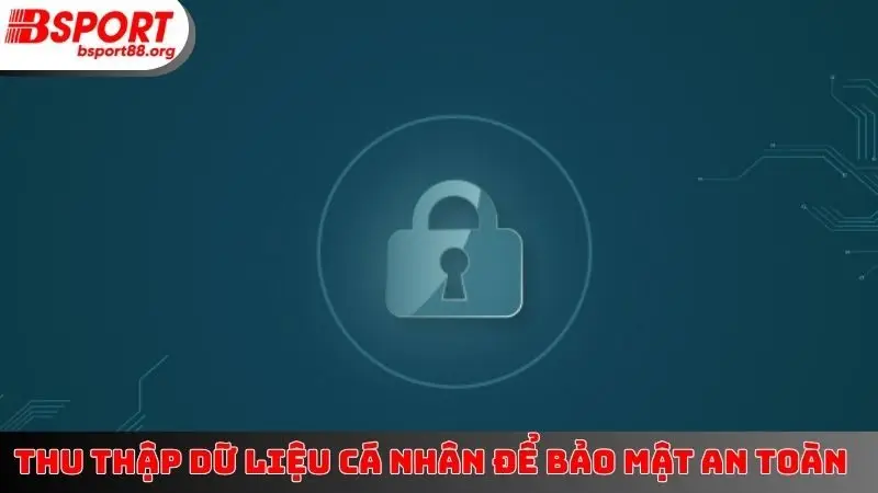 Thu thập dữ liệu cá nhân để bảo mật an toàn