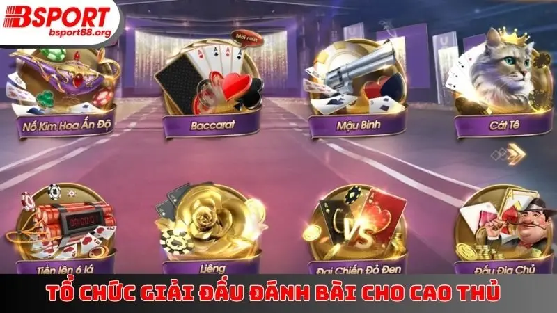 Tổ chức giải đấu đánh bài cho cao thủ