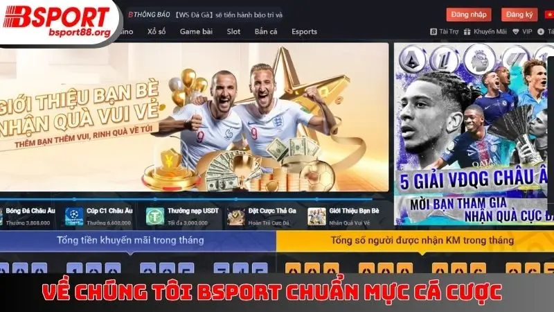 Về chúng tôi BSPORT chuẩn mực cá cược
